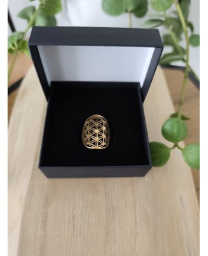 Bague acier inoxydable