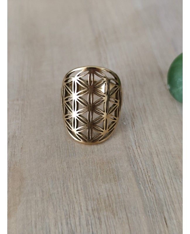 Bague acier inoxydable