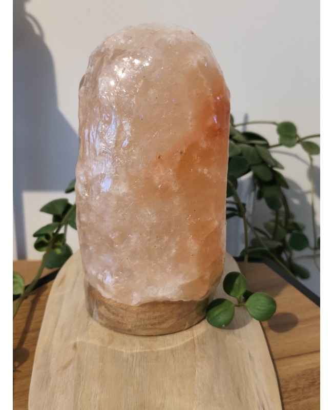 Lampe de Sel Himalaya brute