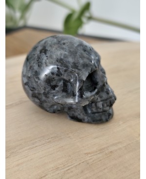 Crâne en pierre