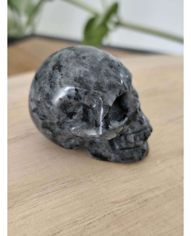 Crâne en pierre