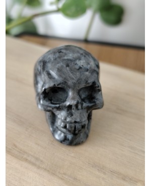 Crâne en pierre