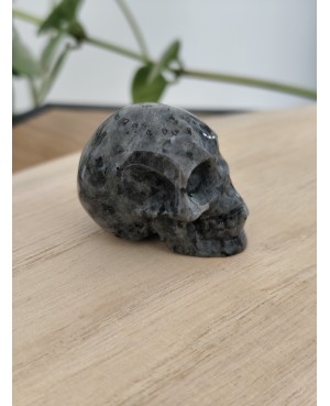 Crâne en pierre