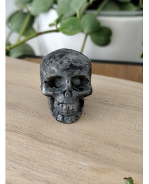 Crâne en pierre