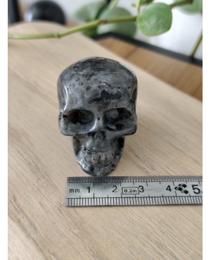 Crâne en pierre