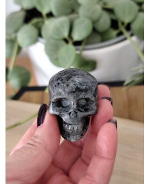 Crâne en pierre